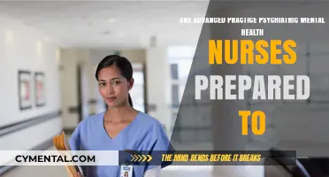 Equipped for Excellence: PMHCNS Readiness in Mental Health Care