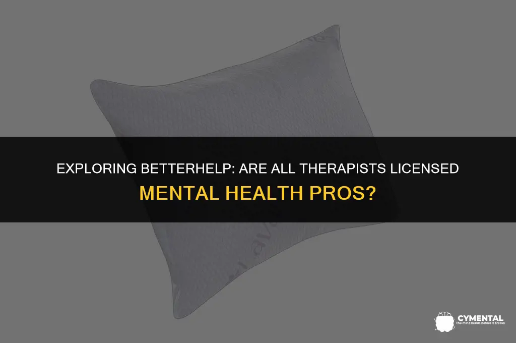 are all betterhelp therapists licensed mental health professionals