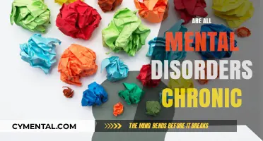 Exploring the Spectrum: Are All Mental Disorders Chronic?