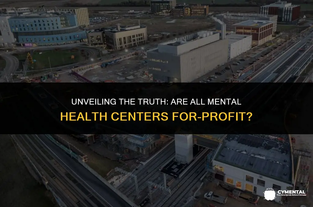 are all mental health treatment center for-profit