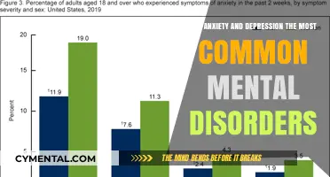 Exploring the Prevalence: Anxiety and Depression as Common Mental Disorders