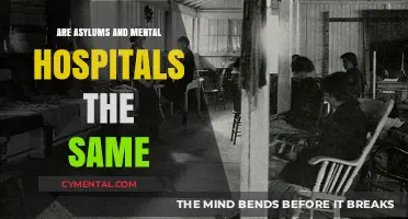 Understanding the Difference: Are Asylums and Mental Hospitals the Same?