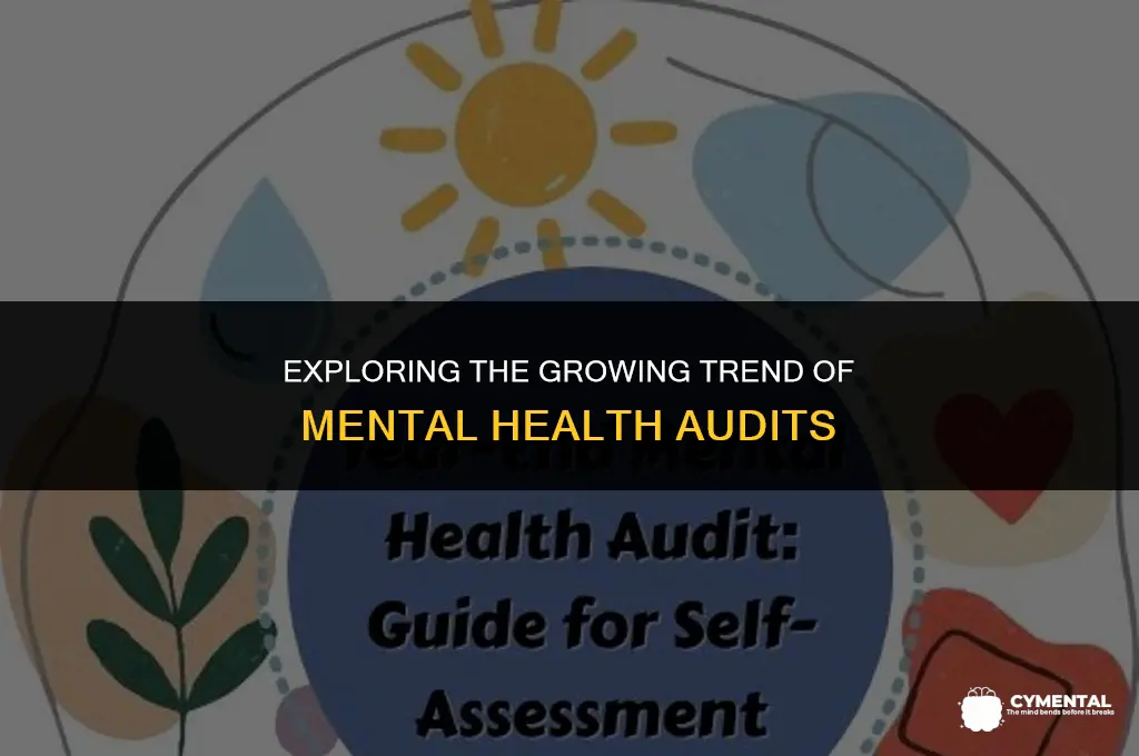 are audits for mental health professionals on the rise