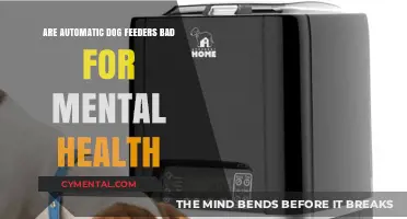 The Impact of Automatic Dog Feeders on Mental Health: A Closer Look