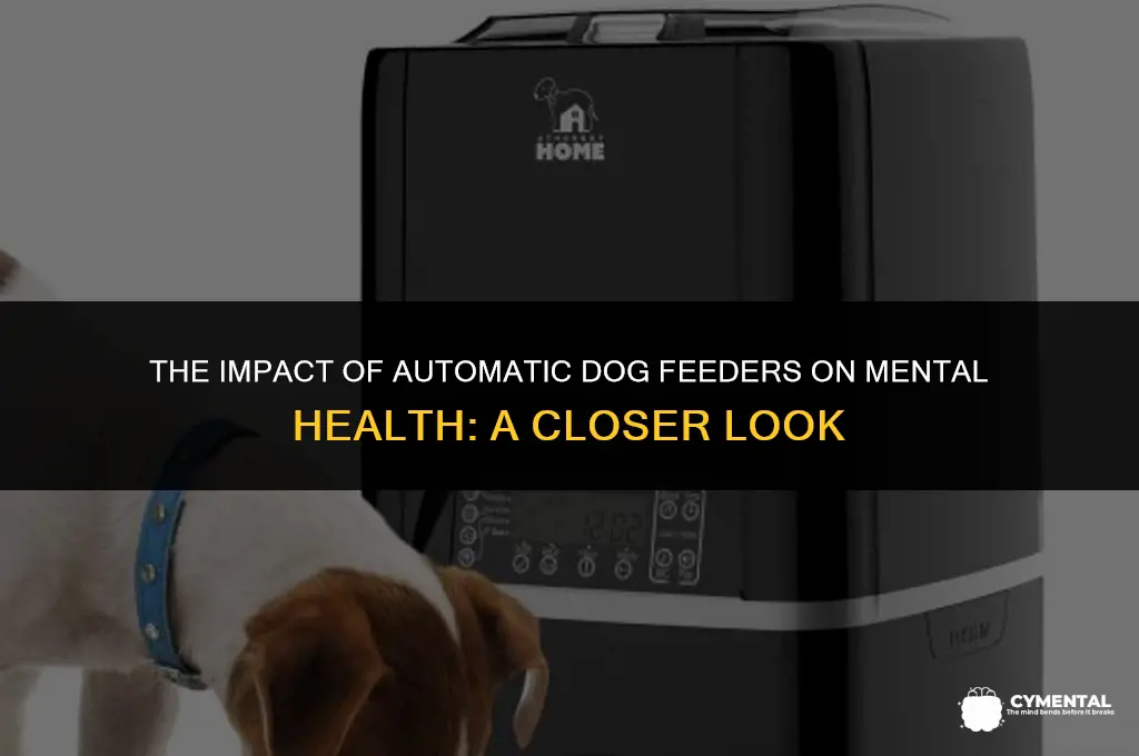 are automatic dog feeders bad for mental health
