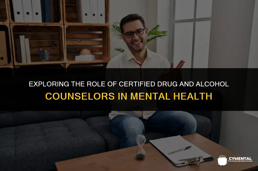 are certified drug and alcohol counselors considered mental health professionals