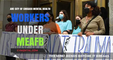 Chicago Mental Health Workers: Unveiling the Truth Behind MEAFB Allegations
