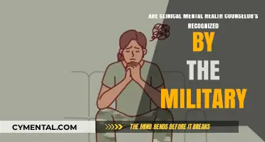 Military Recognition of Clinical Mental Health Counselors: A Comprehensive Guide