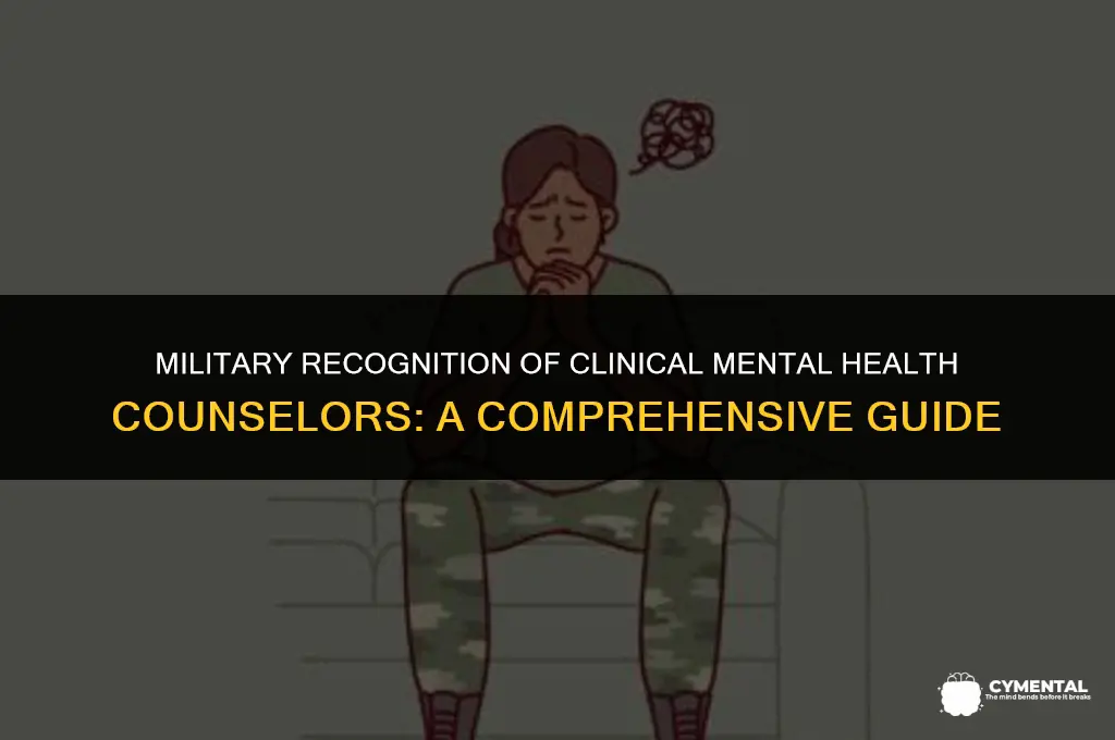 are clinical mental health counselor