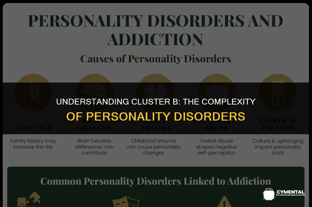 are cluster b personality disorders mentall illnesses