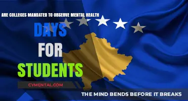Colleges and Mental Health Days: Understanding the Mandate