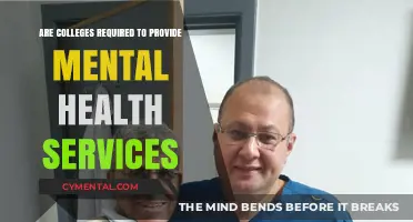 Colleges and Mental Health: Understanding the Mandate for Support Services