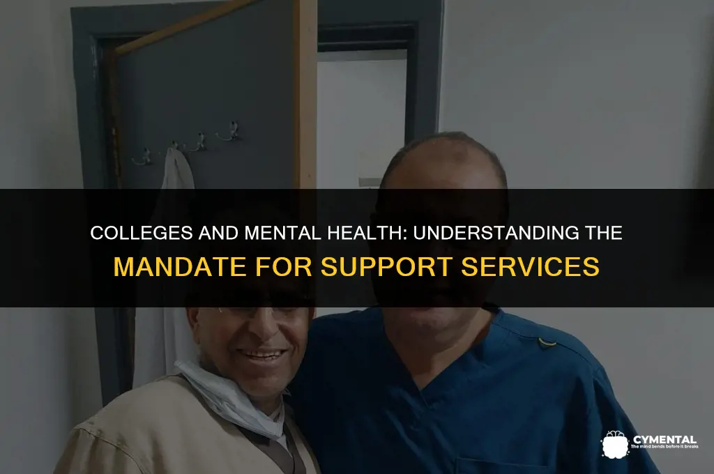 are colleges required to provide mental health services