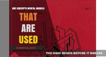 Exploring the Mind: How Concepts Shape Our Mental Models