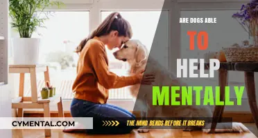 Canine Companions: How Dogs Support Mental Health and Well-being