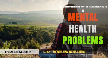 Unveiling the Link: Environmental Factors and Mental Health Challenges