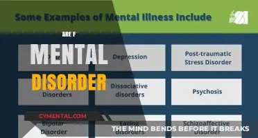 Exploring the Complexity of Mental Disorders: A Comprehensive Guide