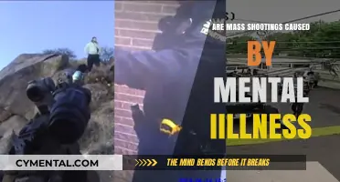 Unraveling the Complex Link Between Mental Illness and Mass Shootings