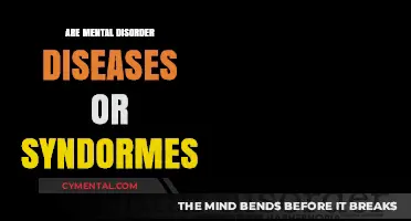 Decoding Mental Health: Disorders, Diseases, or Syndromes?