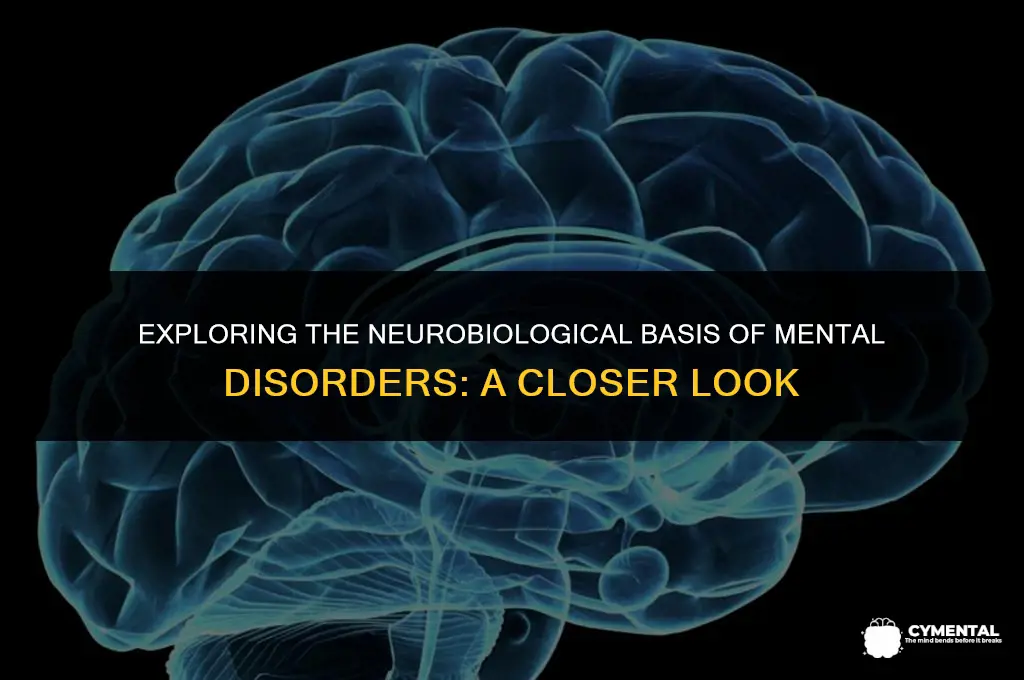 are mental disorders brains physical different
