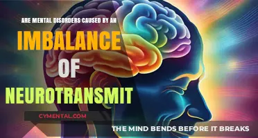 Decoding the Neurotransmitter Myth: A Deep Dive into Mental Health