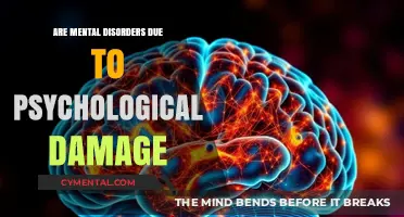 Exploring the Roots of Mental Disorders: Psychological Damage or Beyond?