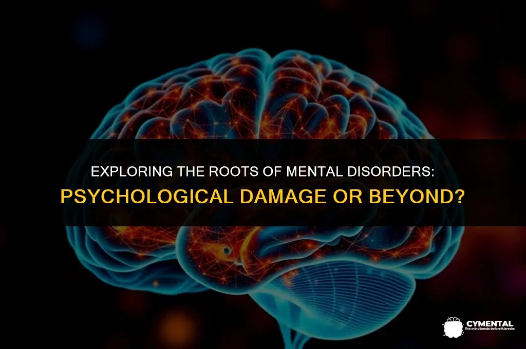 are mental disorders due to psychological damage