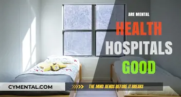 Exploring the Effectiveness of Mental Health Hospitals: A Comprehensive Review