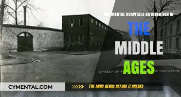 Unraveling the Myths: Mental Hospitals and the Middle Ages