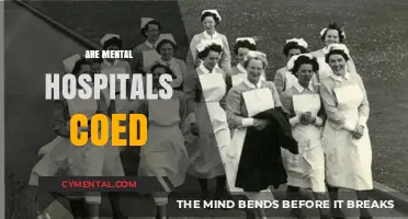 Exploring the Dynamics of Coed Mental Health Facilities