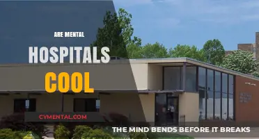 Exploring the Intricacies of Psychiatric Care: Are Mental Hospitals Cool?