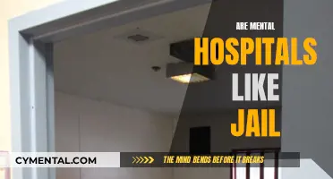 Unraveling the Myths: Mental Hospitals vs. Jails - A Comparative Insight