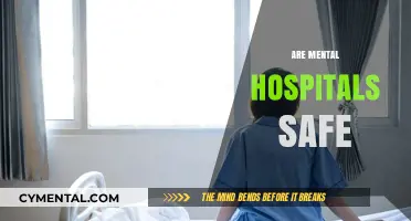 Exploring Safety in Mental Health Facilities: A Comprehensive Overview
