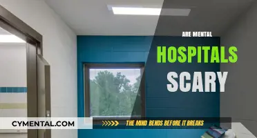 Unveiling the Truth: Are Mental Hospitals Really Scary?