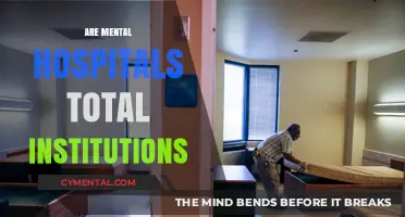 Exploring the Institutional Nature of Mental Hospitals: A Critical Analysis