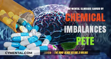 Exploring the Link Between Mental Illnesses and Chemical Imbalances