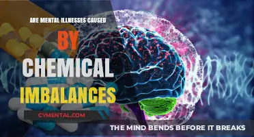 Exploring the Complex Link Between Mental Illnesses and Chemical Imbalances