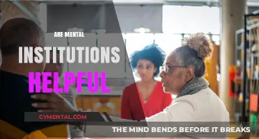 Are Mental Institutions Truly Helpful? Exploring Their Impact and Effectiveness