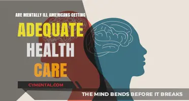 Addressing the Gap: Mental Health Care for Americans in Crisis