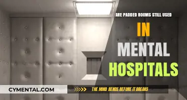 The Evolution of Mental Health Facilities: Are Padded Rooms Still in Use?