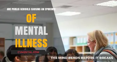 The Troubling Link Between Public Schools and Mental Health Crises