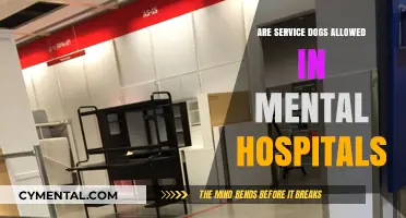 Navigating Mental Health Facilities with Service Dogs: A Comprehensive Guide