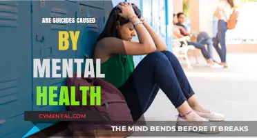 Unraveling the Complex Link: Mental Health and Suicides