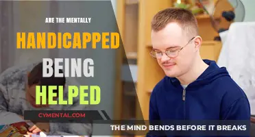 Supporting the Mentally Handicapped: Are Current Efforts Truly Making a Difference?