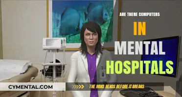 Exploring the Role of Computers in Modern Mental Health Facilities