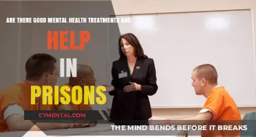 Unlocking Hope: Effective Mental Health Care in Prisons Explored