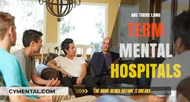 Exploring the Existence and Impact of Long-Term Mental Hospitals