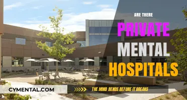 Exploring the Landscape of Private Mental Health Facilities