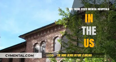 Exploring the Landscape of State Mental Hospitals in the United States