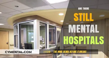 Exploring the Current Landscape of Psychiatric Care Facilities